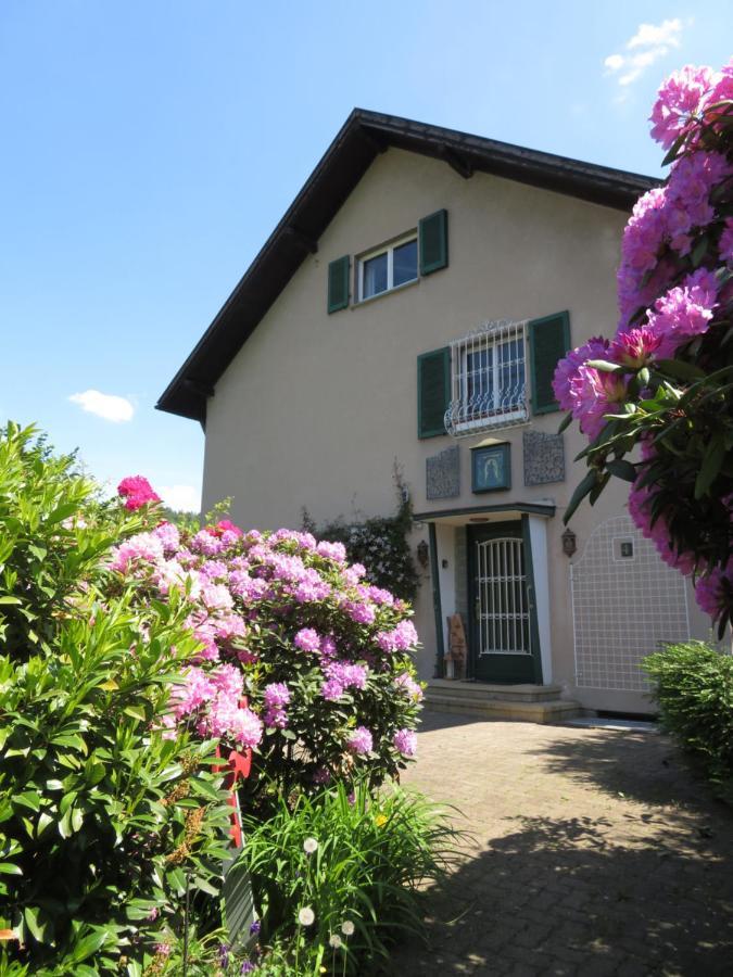 Ferienwohnung Panorama Wertheim Dış mekan fotoğraf
